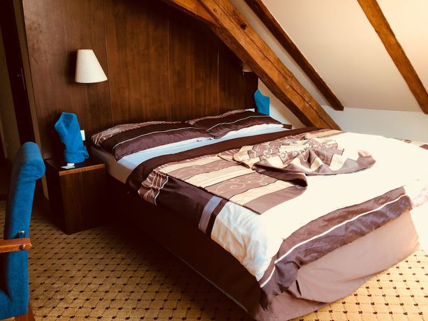 Imagen de la habitación del Hotel U Cerneho Orla, Kostelec nad Čern&yacute;mi lesy. Foto 8