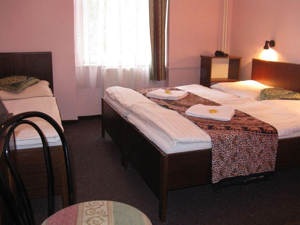 Imagen general del Hotel U Ceske Koruny Hotel. Foto 2