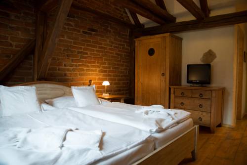 Imagen de la habitación del Hotel U Hrabenky. Foto 5