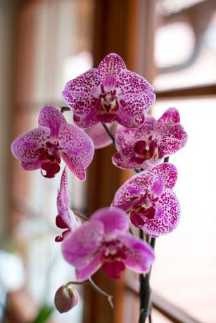 Imagen de la habitación del Hotel U Hrabenky. Foto 6