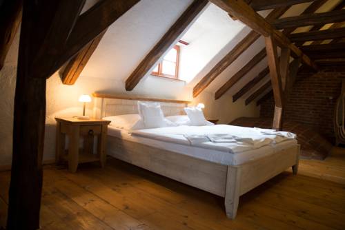 Imagen de la habitación del Hotel U Hrabenky. Foto 9