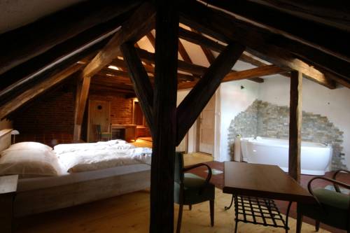 Imagen de la habitación del Hotel U Hrabenky. Foto 14