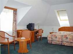 Imagen general del Hotel U KRALOVNY ELISKY. Foto 3