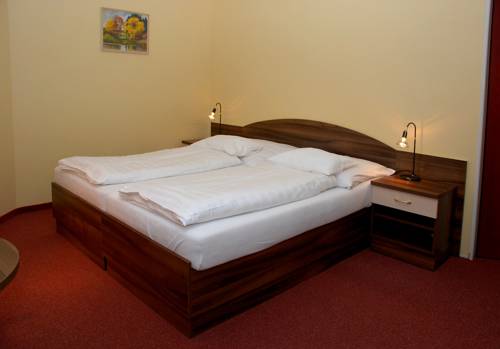 Imagen de la habitación del Hotel U Kaplicky. Foto 3