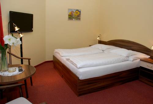 Imagen de la habitación del Hotel U Kaplicky. Foto 6