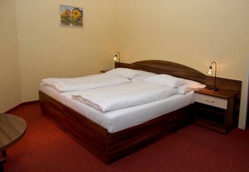 Imagen de la habitación del Hotel U Kaplicky. Foto 9