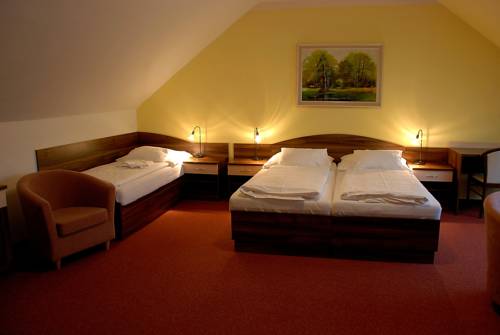 Imagen de la habitación del Hotel U Kaplicky. Foto 10