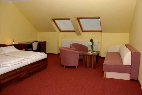 Imagen de la habitación del Hotel U Kaplicky. Foto 11