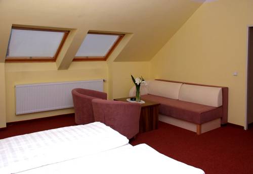 Imagen de la habitación del Hotel U Kaplicky. Foto 13