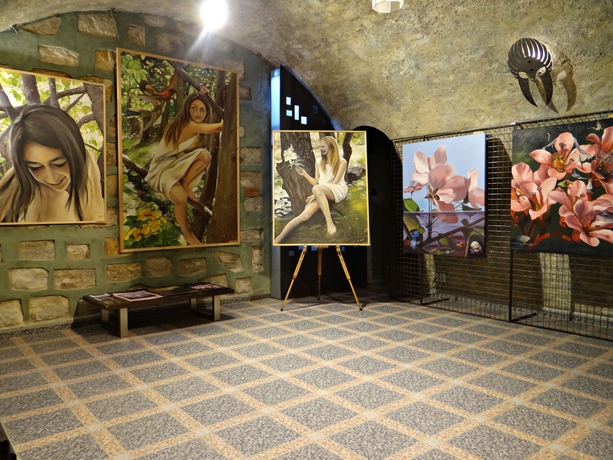 Imagen de los interiores del Hotel U Krize. Foto 15