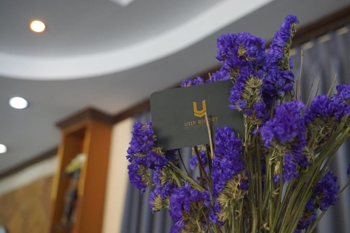 Imagen de los interiores del Hotel U Rip Resort. Foto 19