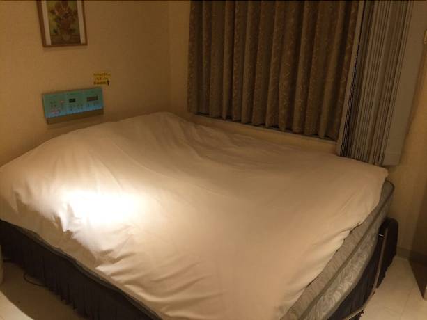 Imagen de la habitación del Hotel U, Tokyo Ciudad. Foto 14