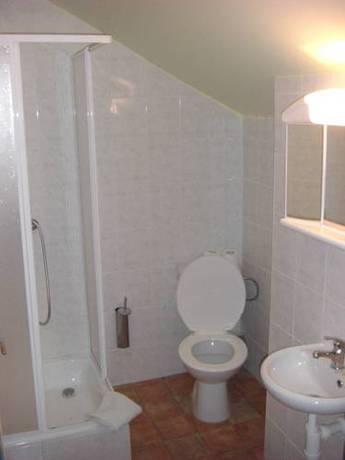 Imagen de la habitación del Hotel U Zelen&eacute;ho Stromu. Foto 6