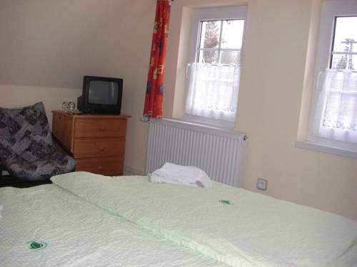 Imagen de la habitación del Hotel U Zelen&eacute;ho Stromu. Foto 14