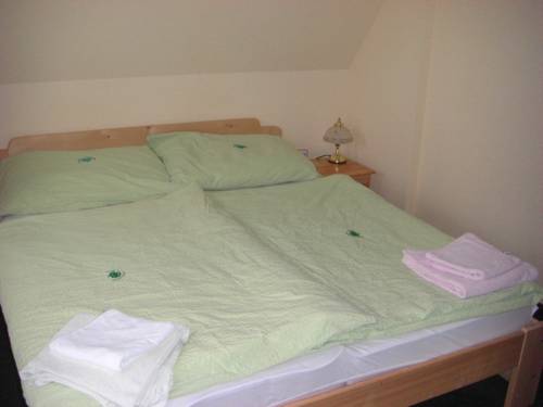 Imagen de la habitación del Hotel U Zelen&eacute;ho Stromu, Hrensko. Foto 15