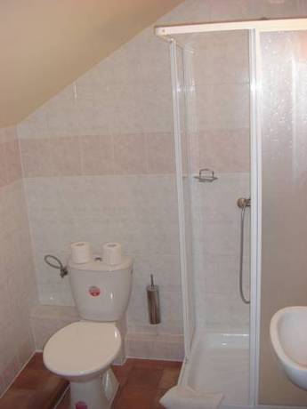 Imagen de la habitación del Hotel U Zelen&eacute;ho Stromu, Hrensko. Foto 16