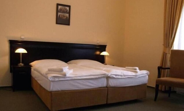 Imagen de la habitación del Hotel U Zelen&eacute;ho stromu. Foto 4