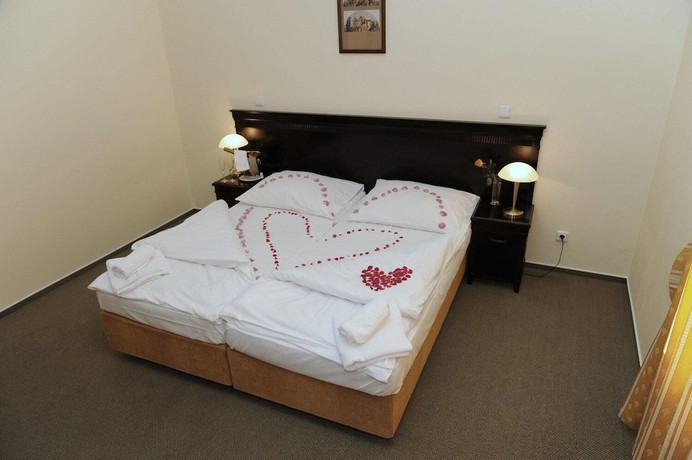 Imagen de la habitación del Hotel U Zelen&eacute;ho stromu. Foto 12