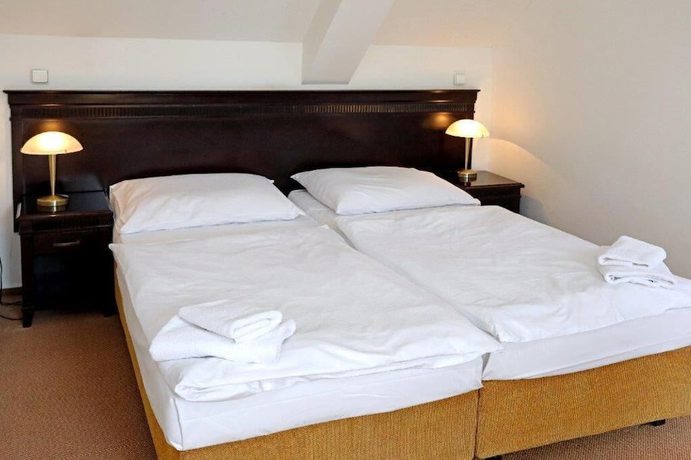 Imagen de la habitación del Hotel U Zelen&eacute;ho stromu. Foto 18