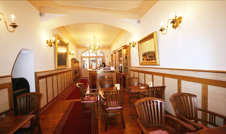 Imagen de los interiores del Hotel U Zlateho Jelena. Foto 19