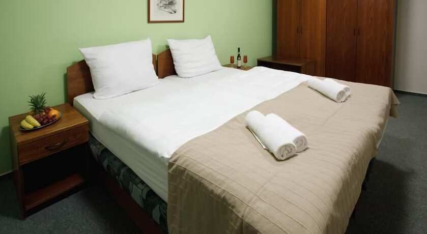 Imagen de la habitación del Hotel U anděla Michaela. Foto 6
