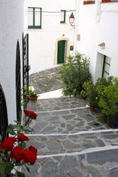 Imagen general del Hotel Ubaldo. Foto 5