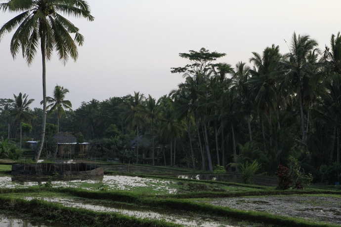 Imagen de los exteriores del Hotel Ubud Syailendra Heritage Villas By Eps. Foto 6