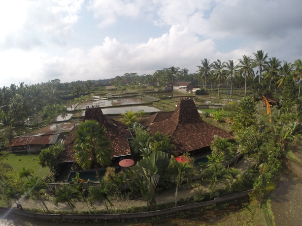 Imagen de los exteriores del Hotel Ubud Syailendra Heritage Villas By Eps. Foto 7