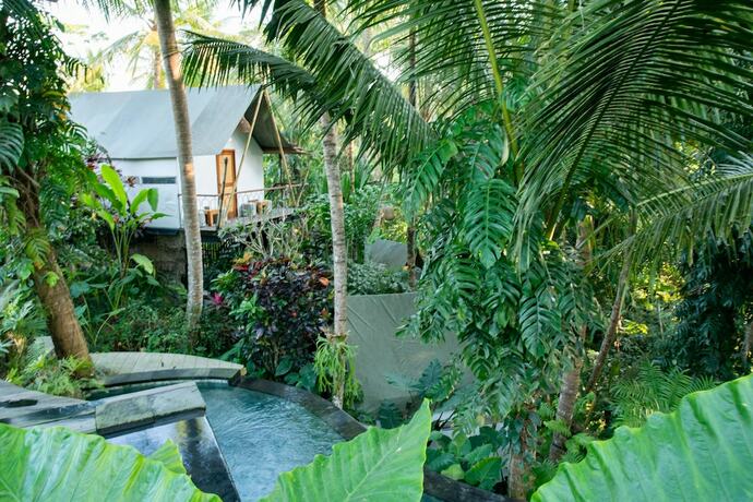 Imagen de la habitación del Hotel Ubud Tropical - Hostel. Foto 14