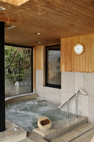 Imagen de la piscina del Hotel Ubuya. Foto 16