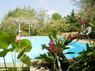 Imagen de la piscina del Hotel Udayana Lodge. Foto 7