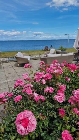 Imagen general del Hotel Udsigten Marstal. Foto 3