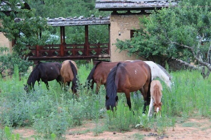 Imagen general del Hotel Udumwara Resort and Spa. Foto 3