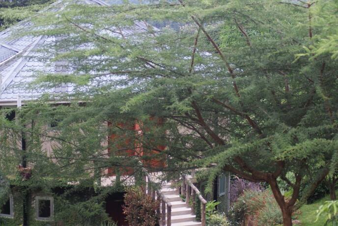 Imagen general del Hotel Udzungwa Falls Lodge. Foto 13