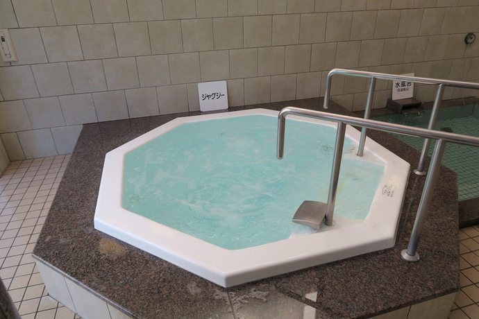 Imagen general del Hotel Ueda Seiyu Hatagokan. Foto 3