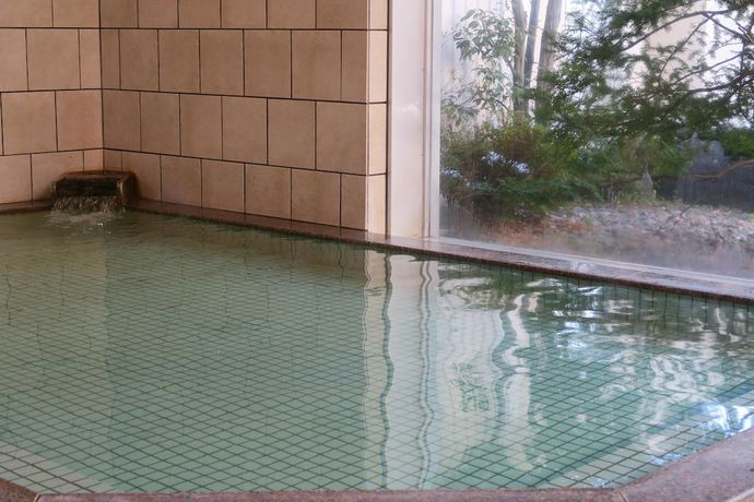 Imagen general del Hotel Ueda Seiyu Hatagokan. Foto 4