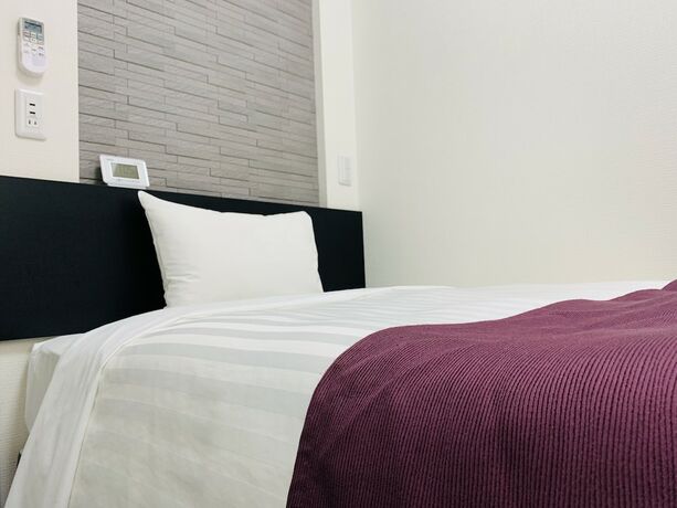Imagen general del Hotel Ueno Urban. Foto 3