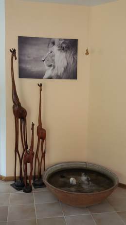 Imagen de los interiores del Hotel Uhland, Windhoek. Foto 19