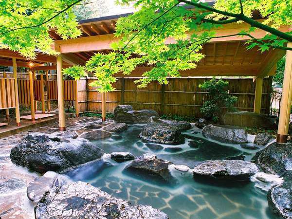 Imagen de la piscina del Hotel Ujo no Yado Shintsuta. Foto 17