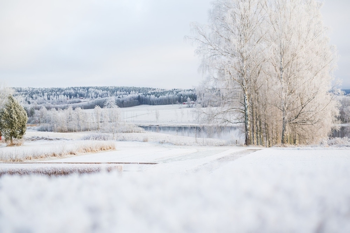 Imagen de la habitación del Hotel Ulvsby Herrgård. Foto 15