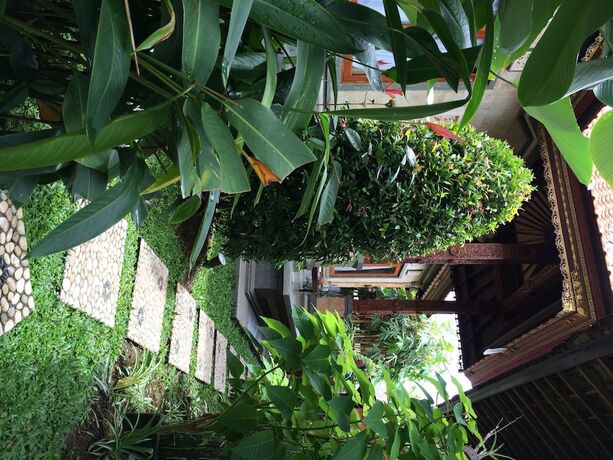 Imagen general del Hotel Uma Dewi Guest House. Foto 14