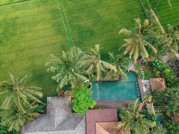 Imagen general del Hotel Uma Linggah Resort. Foto 10