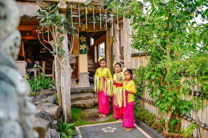 Imagen general del Hotel Uma Shanty by Madhava. Foto 12