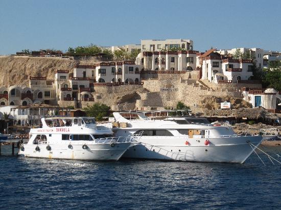 Imagen de los interiores del Hotel Umbi Sharks Bay Diving Village. Foto 6