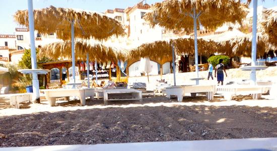 Imagen de los interiores del Hotel Umbi Sharks Bay Diving Village. Foto 7