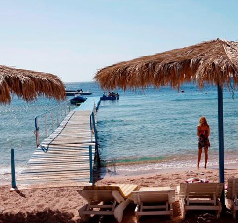 Imagen de los exteriores del Hotel Umbi Sharks Bay Diving Village. Foto 3