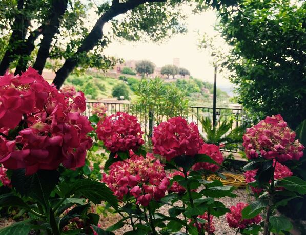 Imagen general del Hotel Umbria, Otricoli. Foto 10