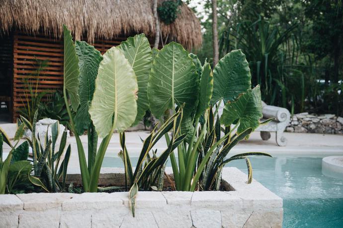 Imagen de los interiores del Hotel Una Vida. Foto 18