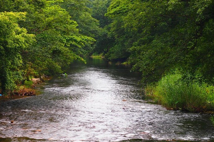 Imagen general del Hotel Uncle Jo Valley. Foto 8