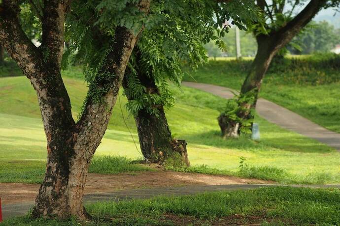 Imagen general del Hotel Uncle Jo Valley. Foto 13